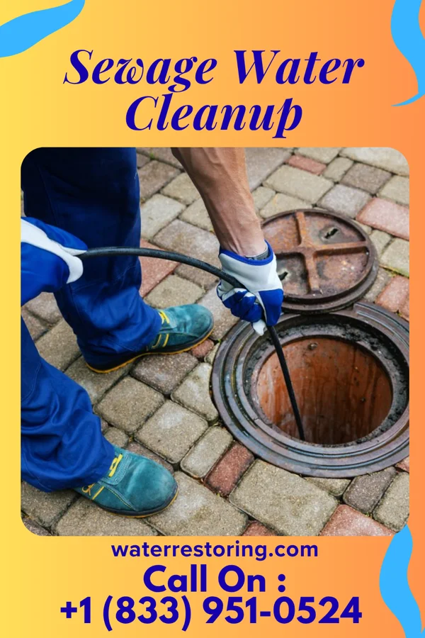 Sewage Water Cleanup in Alpha, MI